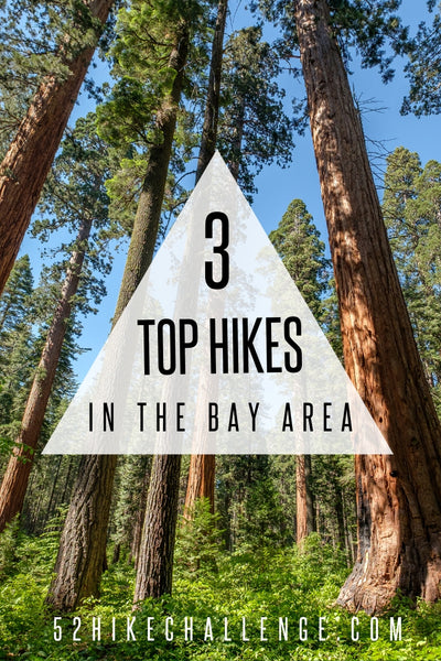 the top hikes in the Bay Area
