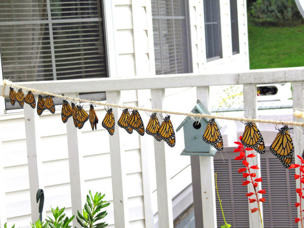 Monarchs Hanging to Dry their Fresh Butterfly Wings from a Rope