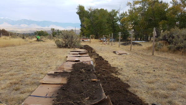 Cardboard under Lasagna Garden Beds