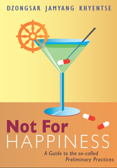 Capa original "Not for happiness"