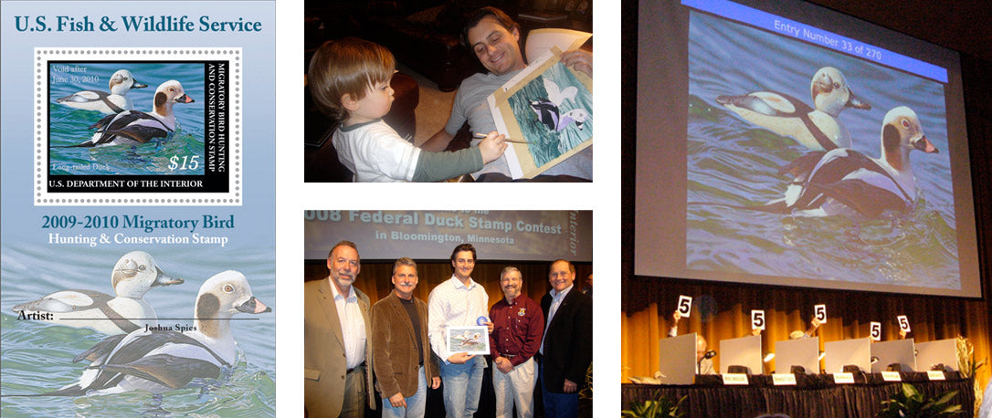 Federal Duck Stamp winner 2008