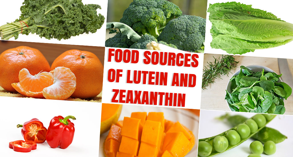 ROLE OF LUTEIN AND ZEAXANTHIN IN EYE HEALTH Steadfast Nutrition