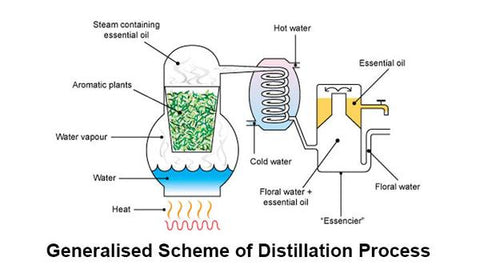 Distillation schematic of essential oils 