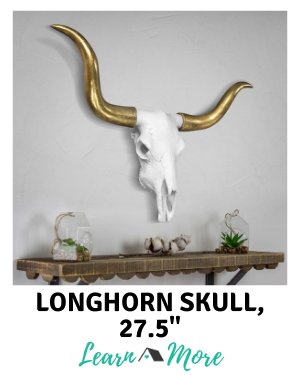 large longhorn skull