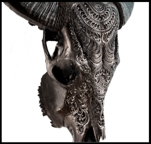 black boho carved real cow skull detail
