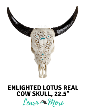 enlightened lotus carved cow skull