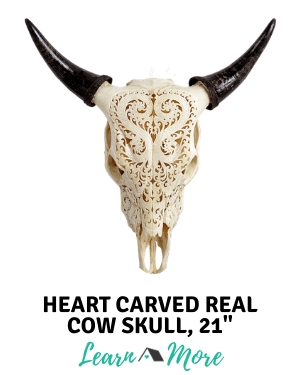 heart carved real cow skull