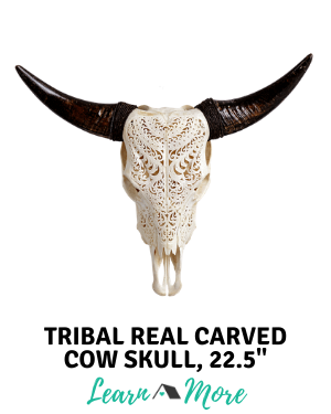 tribal carved cow skull