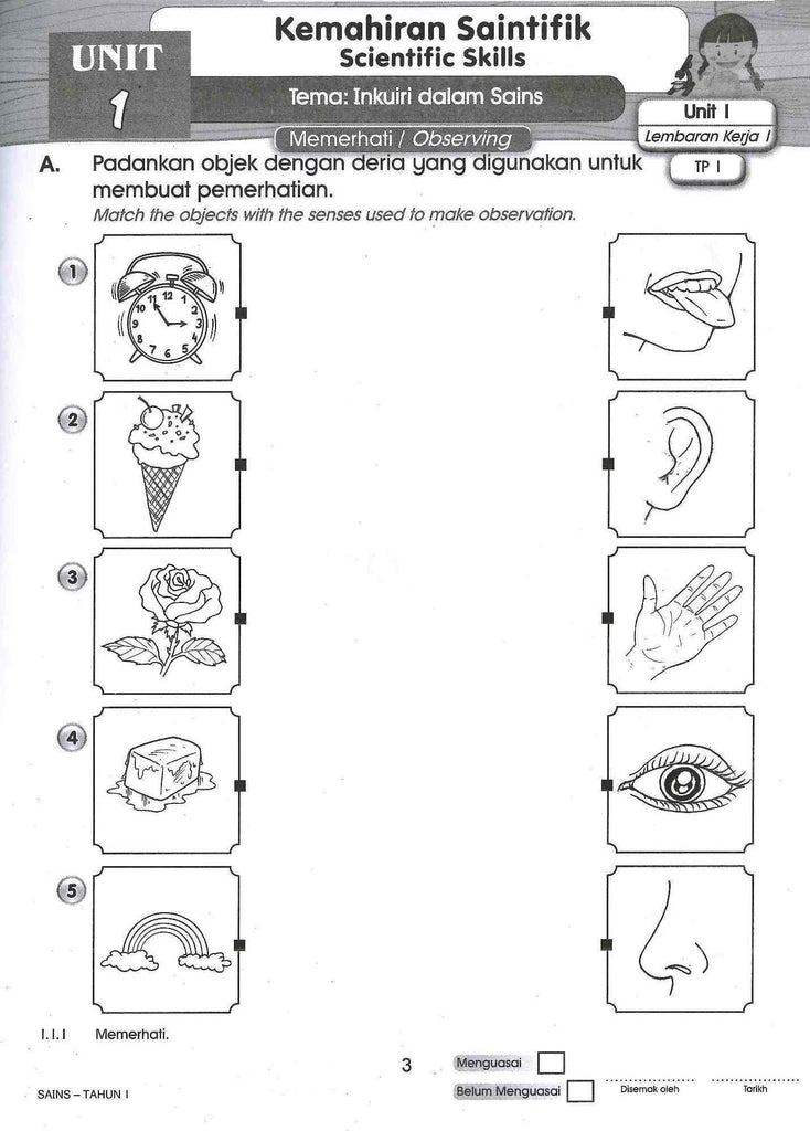 Lembaran Kerja Sains Tahun 1 Deria Manusia Tajuk Deria Rasa Sains  Riset