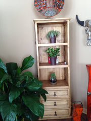 Rustic pine bookcase display living room