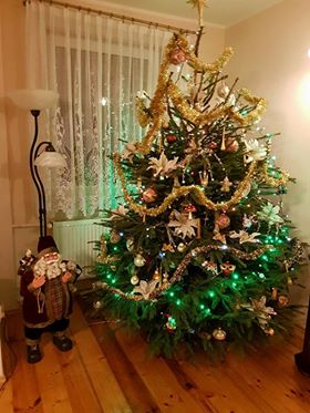 Family Christmas tree Pica Pica Beauty