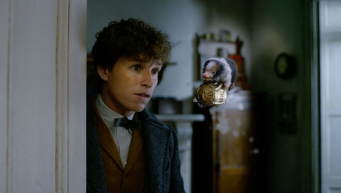 Magizoologist newt scamander 