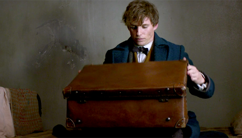 Valise de Norbert Dragonneau, Wiki Harry Potter