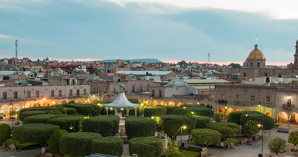 Plaza San Miguel el alto Burbvus