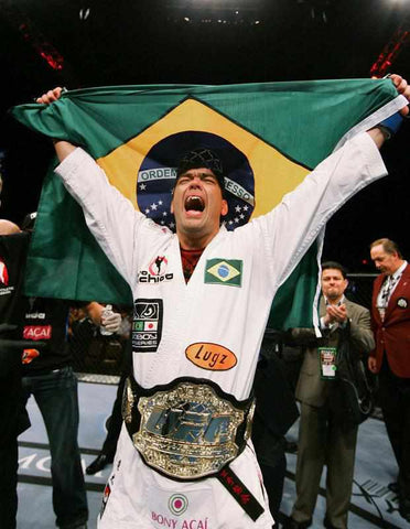 Lyoto Machida wins the UFC Light Heavyweight Championship after delivering a knockout of Rashad Evans