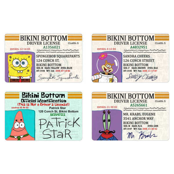 id-cards-spongebob-squarepants-themysteryshack