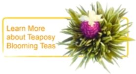 Learn More About Teaposy Blooming Teas