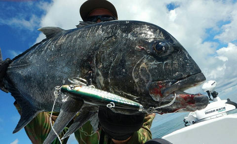 Photo of a Giant Trevally caught using an Old Dog Lures by Dave Killalea Stix