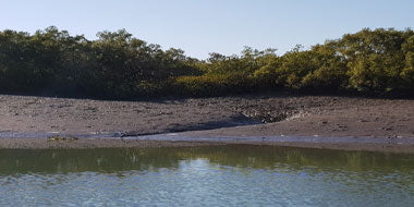 Examples of some gutters at low-tide. At high-tide all the mud is covered in water. Just because they are small doesn't mean they don't hold fish.