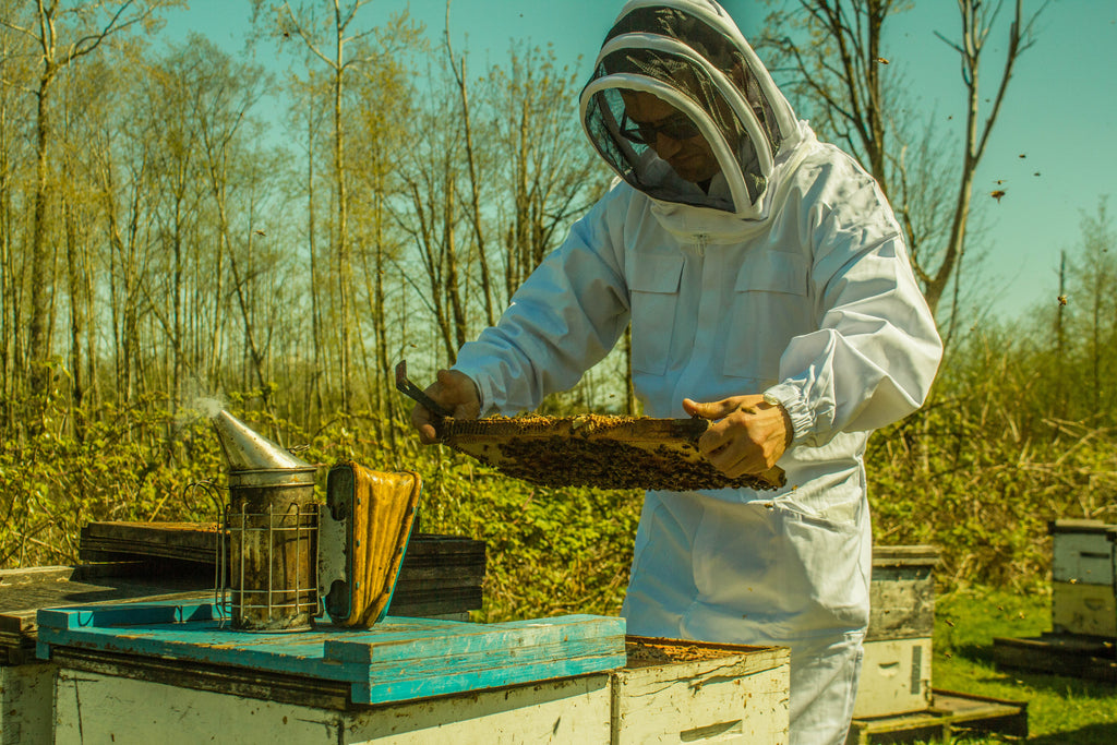 BCB Honey Farm | Canada's #1 Raw Honey | Raw, Local, Unpasteurized | Our Hives, Our B.C. Bees | 4121 King George Blvd., Surrey BC | Proudly Serving Vancouver, Lower Mainland, & Fraser Valley