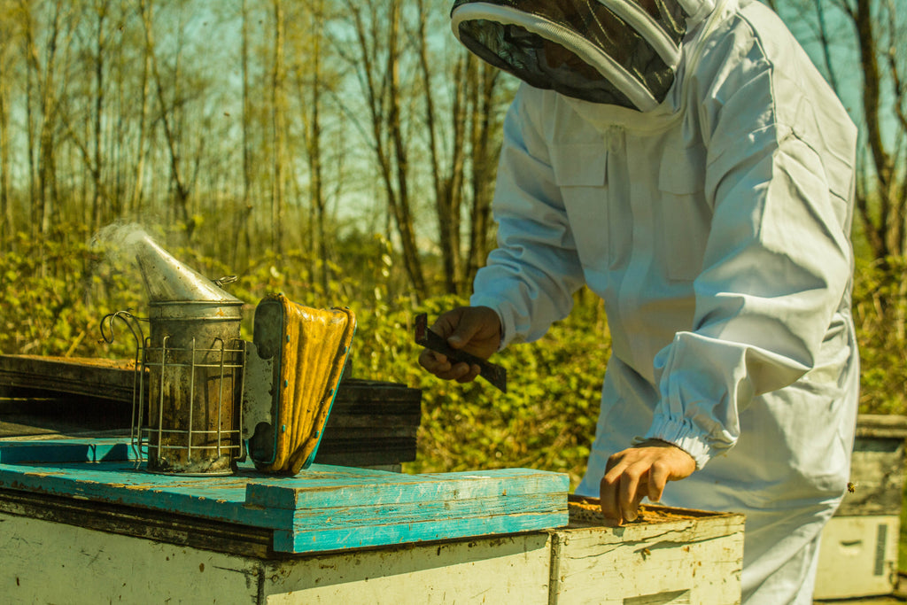 BCB Honey Farm | Canada's #1 Raw Honey | Raw, Local, Unpasteurized | Our Hives, Our B.C. Bees | 4121 King George Blvd., Surrey BC | Proudly Serving Vancouver, Lower Mainland, & Fraser Valley