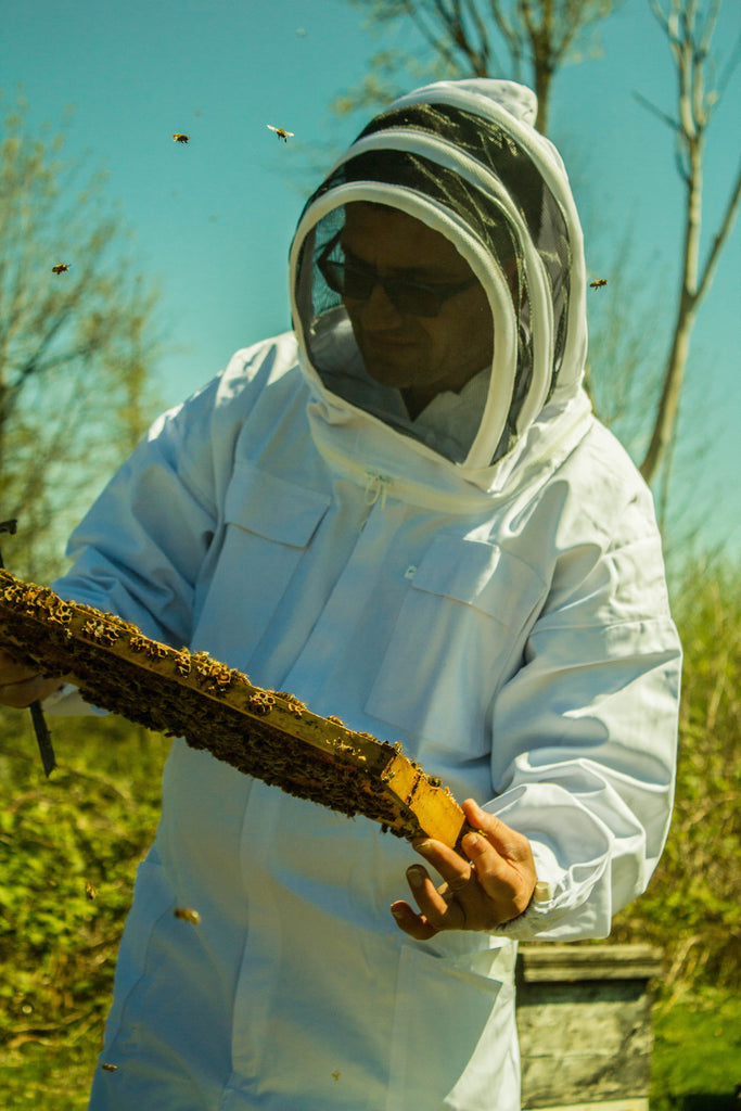 BCB Honey Farm | Canada's #1 Raw Honey | Raw, Local, Unpasteurized | Our Hives, Our B.C. Bees | 4121 King George Blvd., Surrey BC | Proudly Serving Vancouver, Lower Mainland, & Fraser Valley