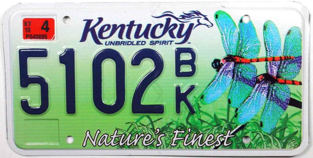 2010 Kentucky Dragonfly License Plate Brandywine General Store