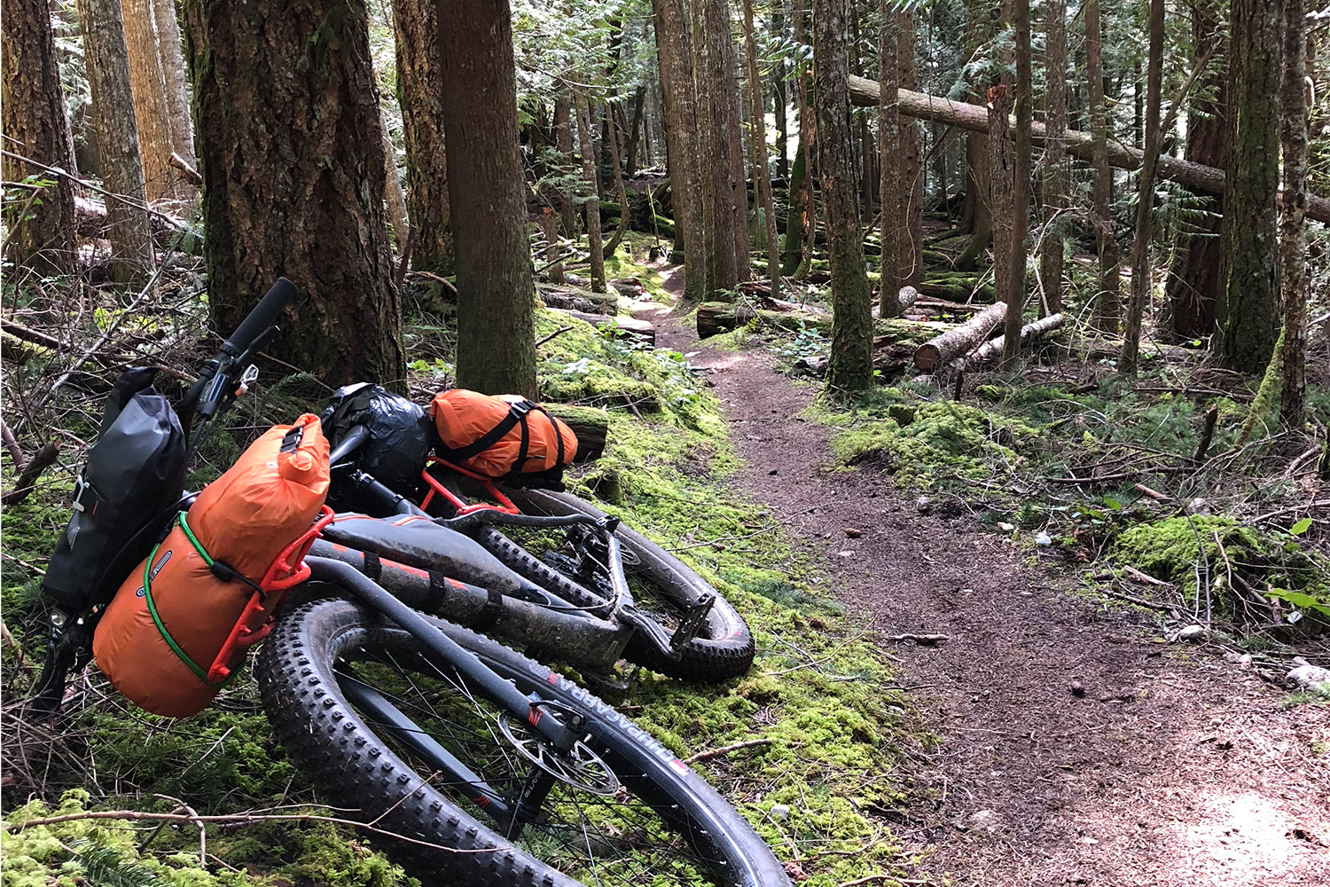 Bikepacking the Sunshine Coast