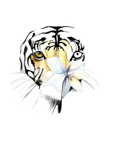 mlm label tiger print in progress