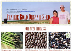 Organic seed offerings 2019 Prairie Road Organic Seed