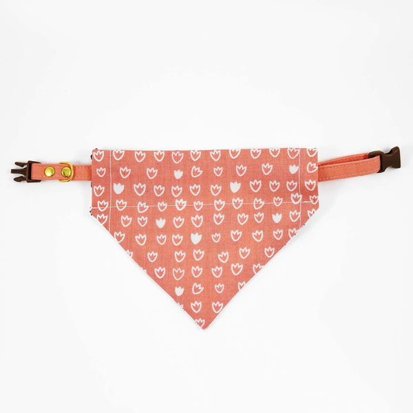 cat handkerchief collar