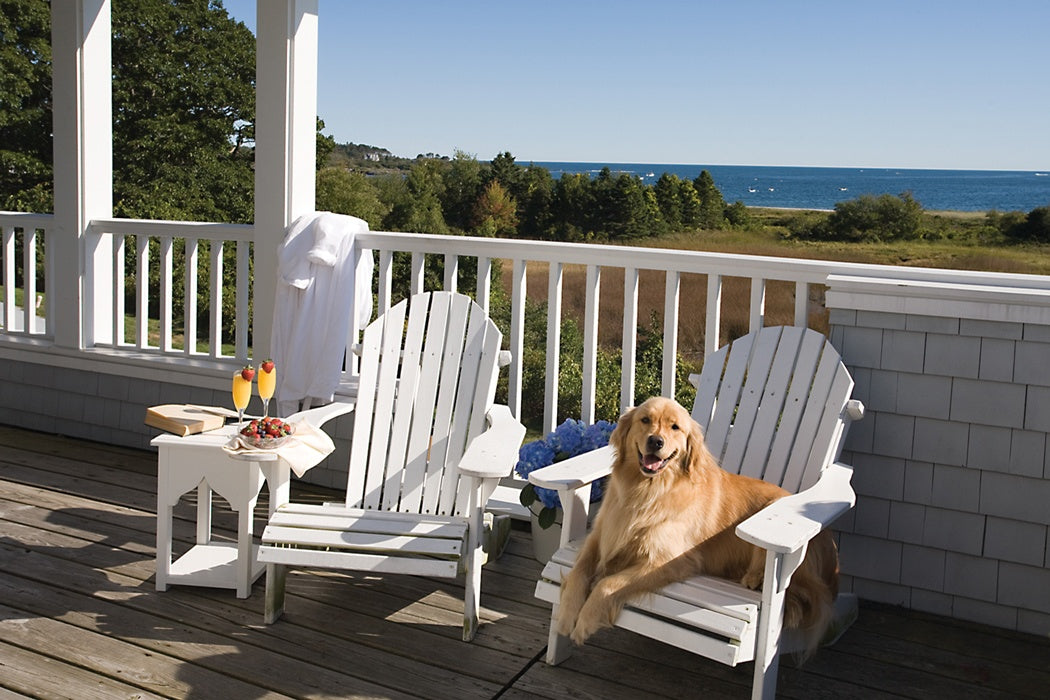 how do i keep my dog off my outdoor furniture