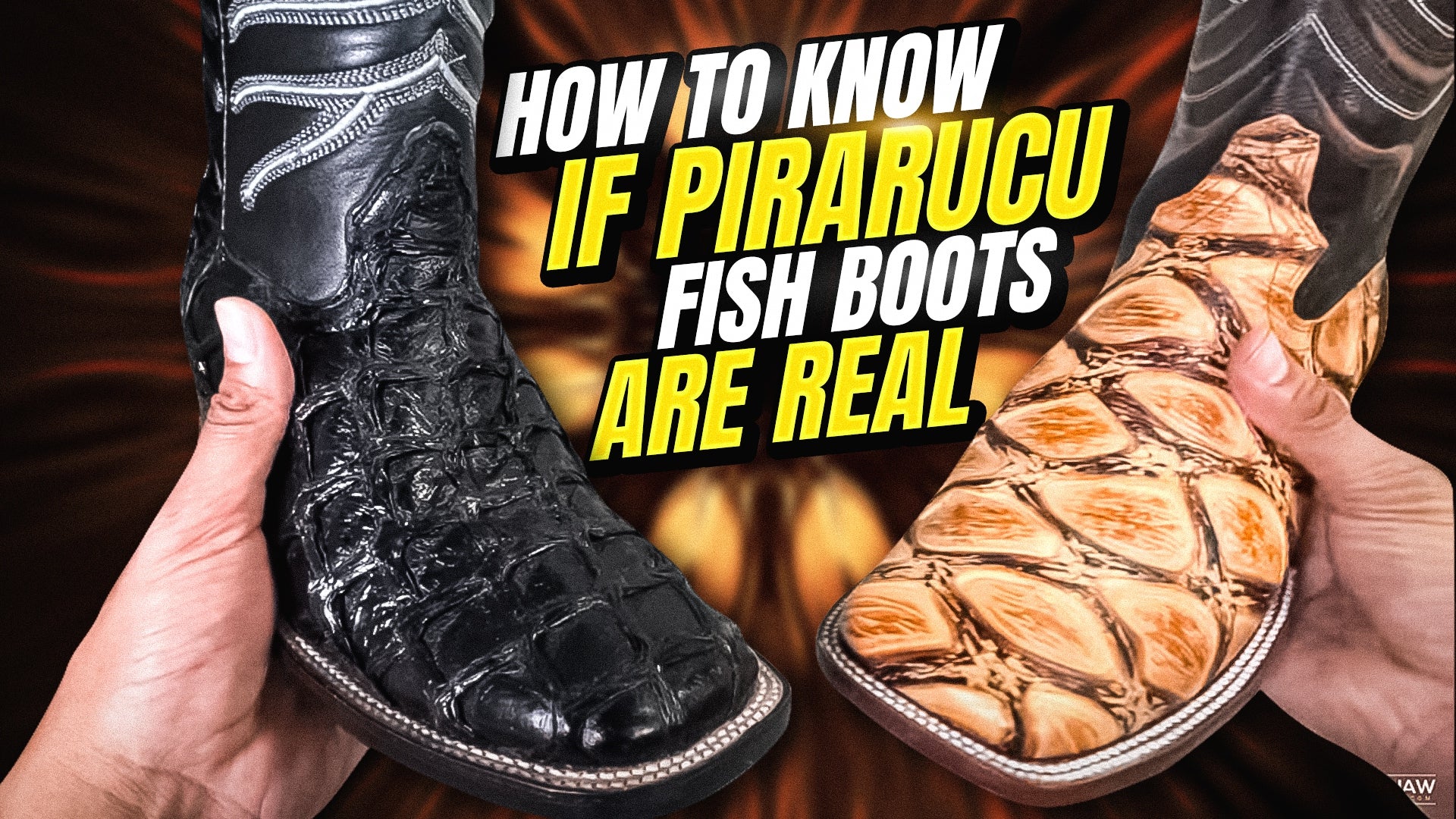 Dramaturgo Perceptivo Buscar a tientas Cómo saber si las botas de pez Pirarucu son auténticas y genuinas –  yeehawcowboy