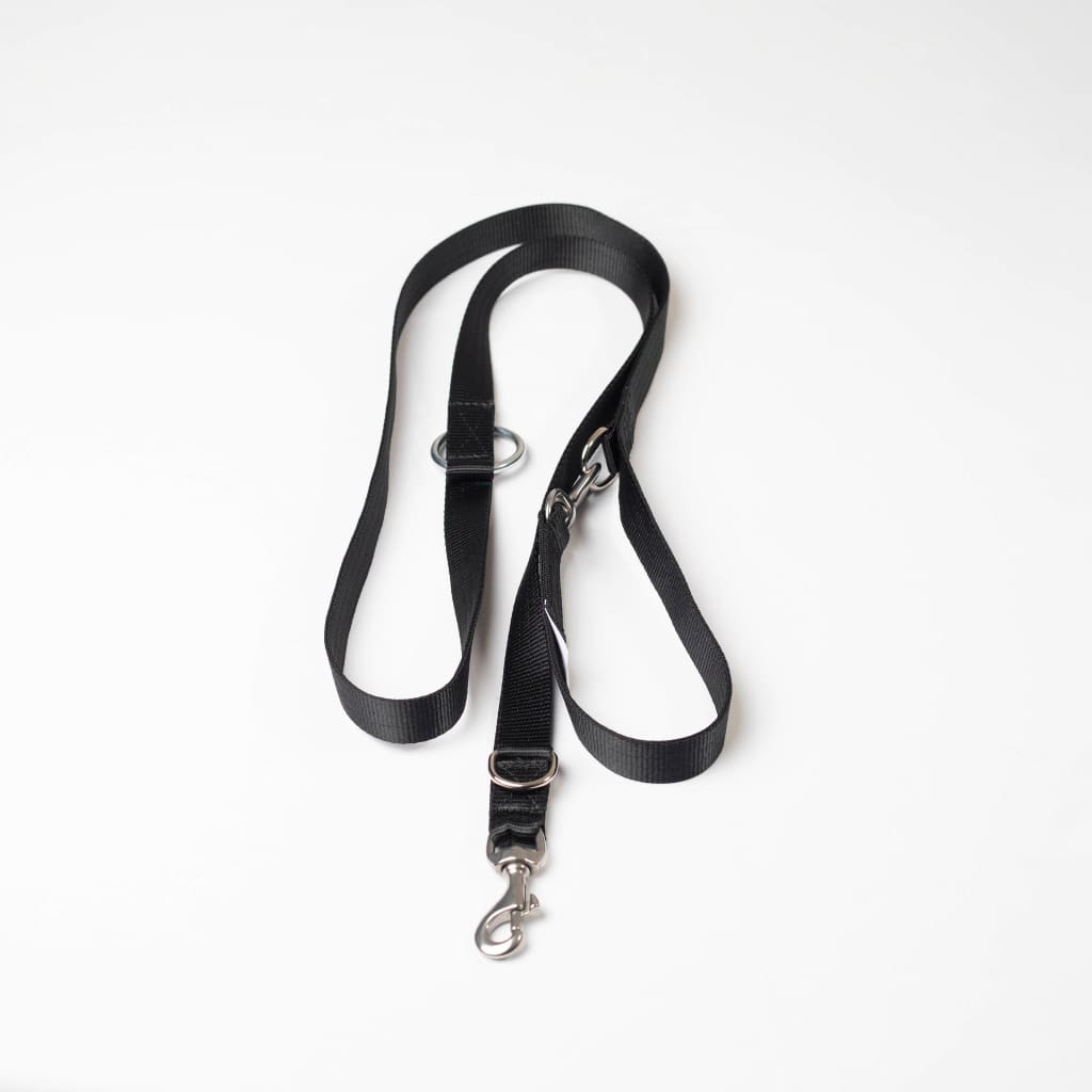 adjustable lead