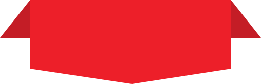 step-icon
