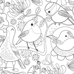Bright Birds colouring-in sheet