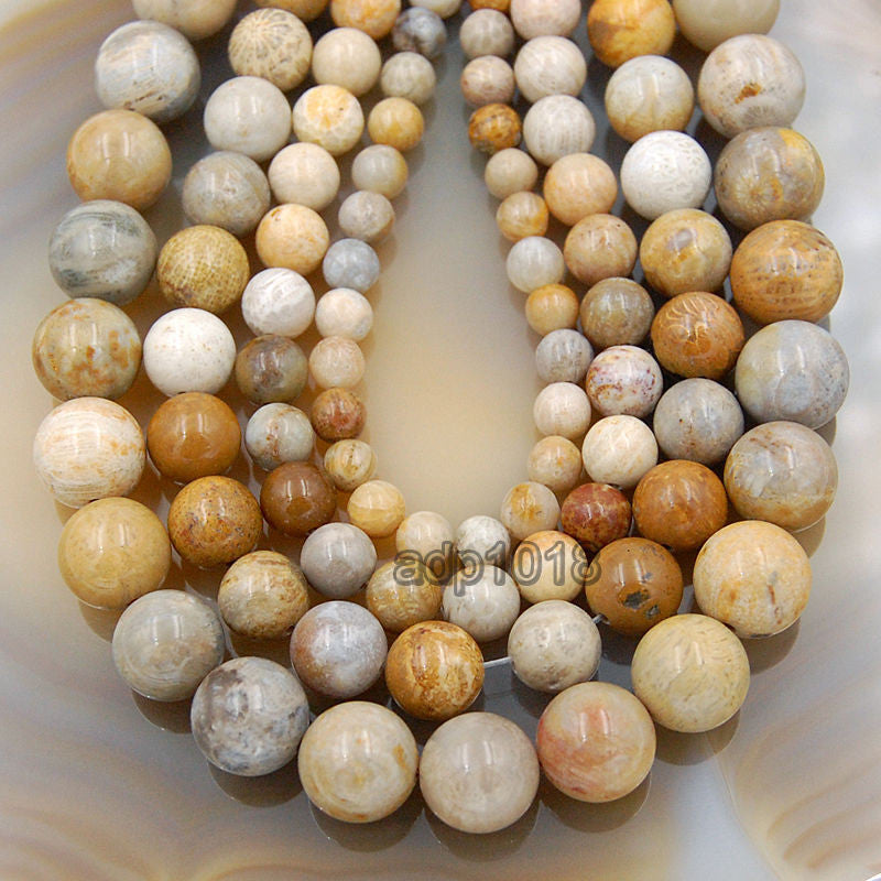 coral fossil beads