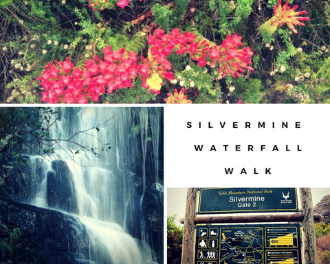 Silvermine Waterfall Walk Cape Town