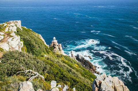 Cape Point School Group Tour In Cape Town