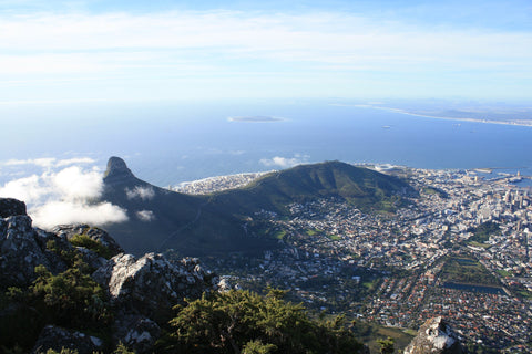 Cape Town City Tour For School Groups