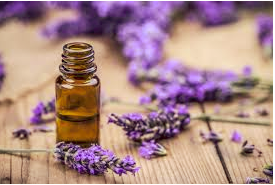 lavender oil  