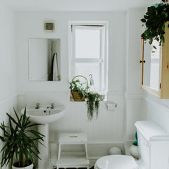 apartment decor plants greenery bathroom