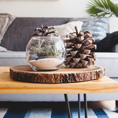 apartment decor diy centerpiece