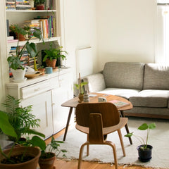 apartment decor greenery plants