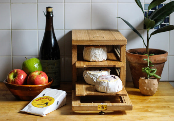 storing cheese on the counter