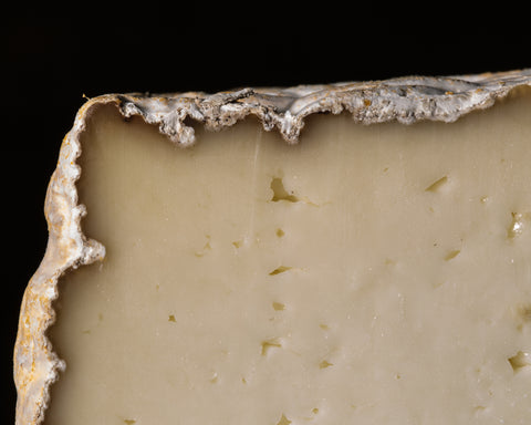 Corsu Vecchiu, Corsican Sheep Milk Cheese