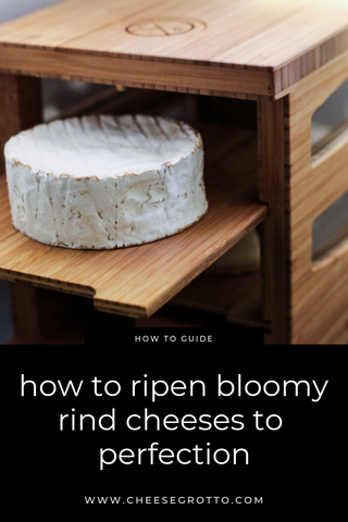 Watch how to ripen bloomy rind cheeses video.