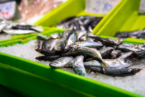 mercado-bilbao-spain-sardines