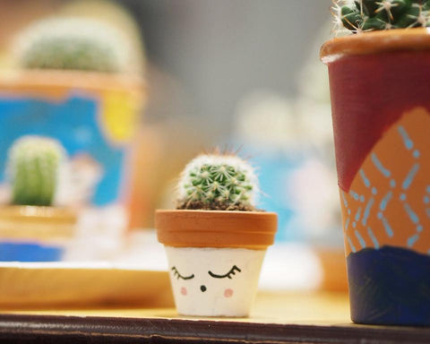 hi cacti classes and workshops