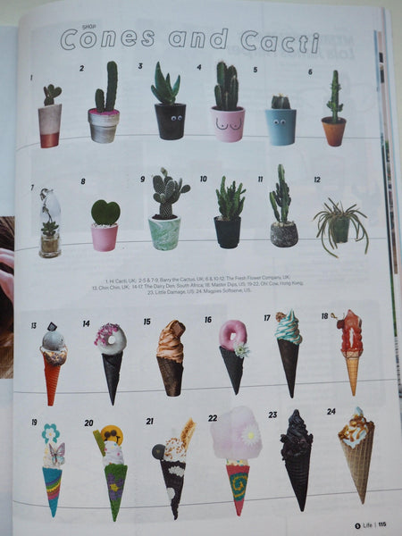 Hi Cacti cactus pots featured in Courier media June July 2018